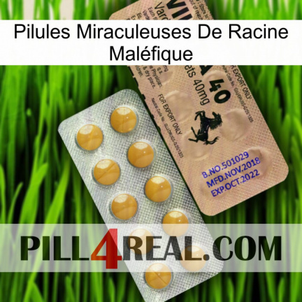 Pilules Miraculeuses De Racine Maléfique 41